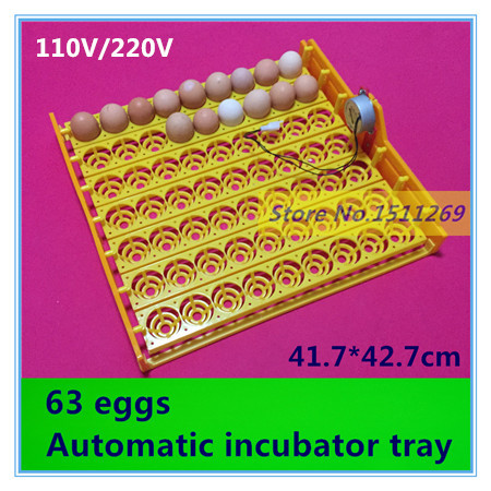 63 eggs Automatic Incubator Egg tray 48 egg incubator 110V / 220V 