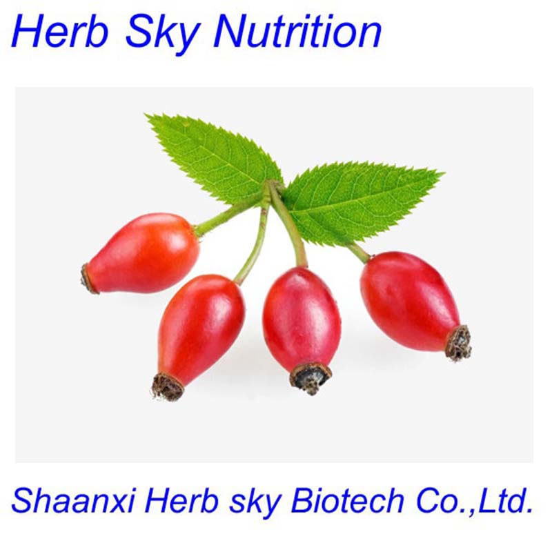 Hot sale Rose Hips extract/Rose Hip Fruit Extract/Rosehip oil Rosa Canina Fruit Extract Rose Hip Extract 400g/lot