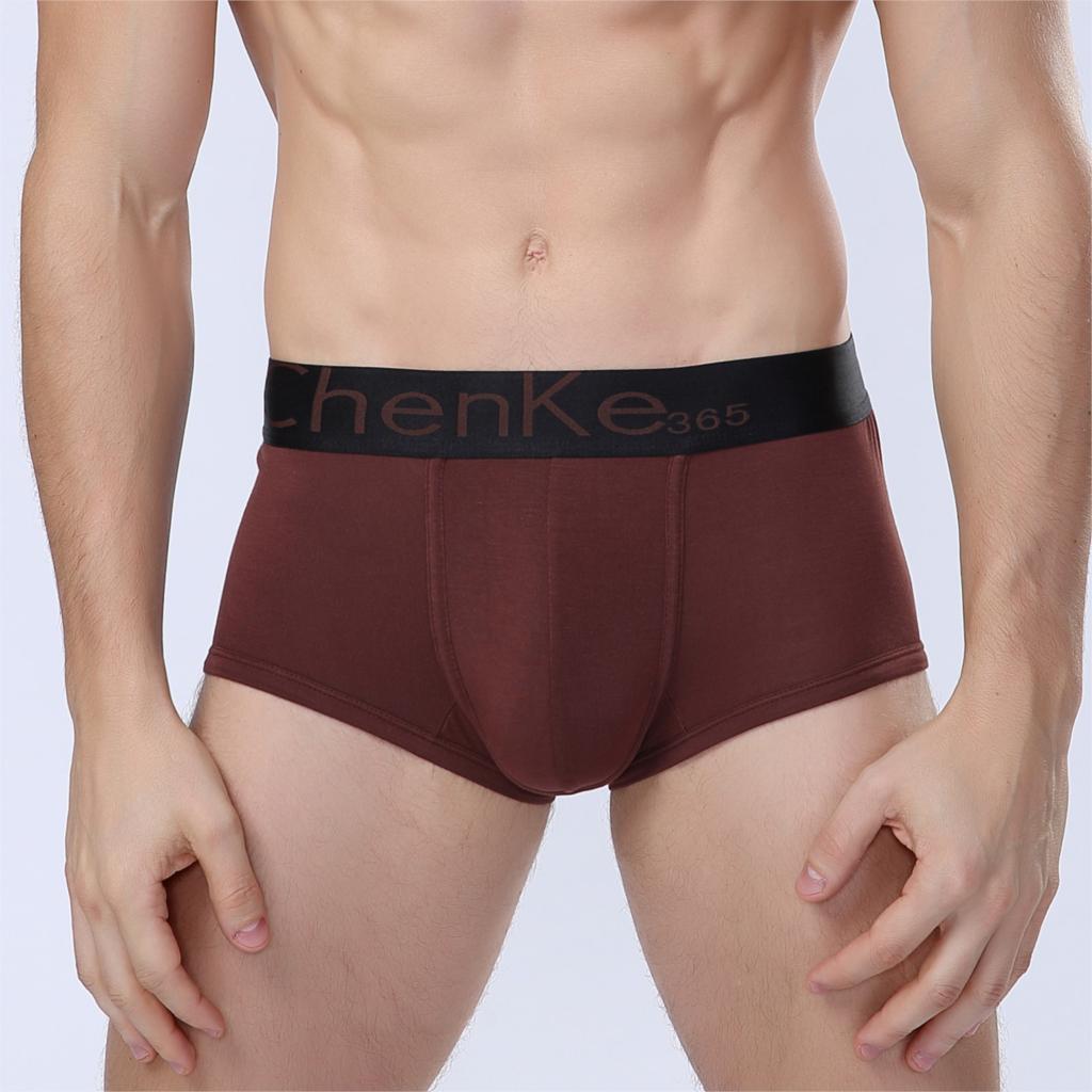 g02.a.alicdn.com/kf/HTB1c2YeIpXXXXagXXXXq6xXFXXXW/New-2015-hot-klein-sex-products-klein-men-gay-mens-boxer-Taobao-explosion-models-men-s.jpg