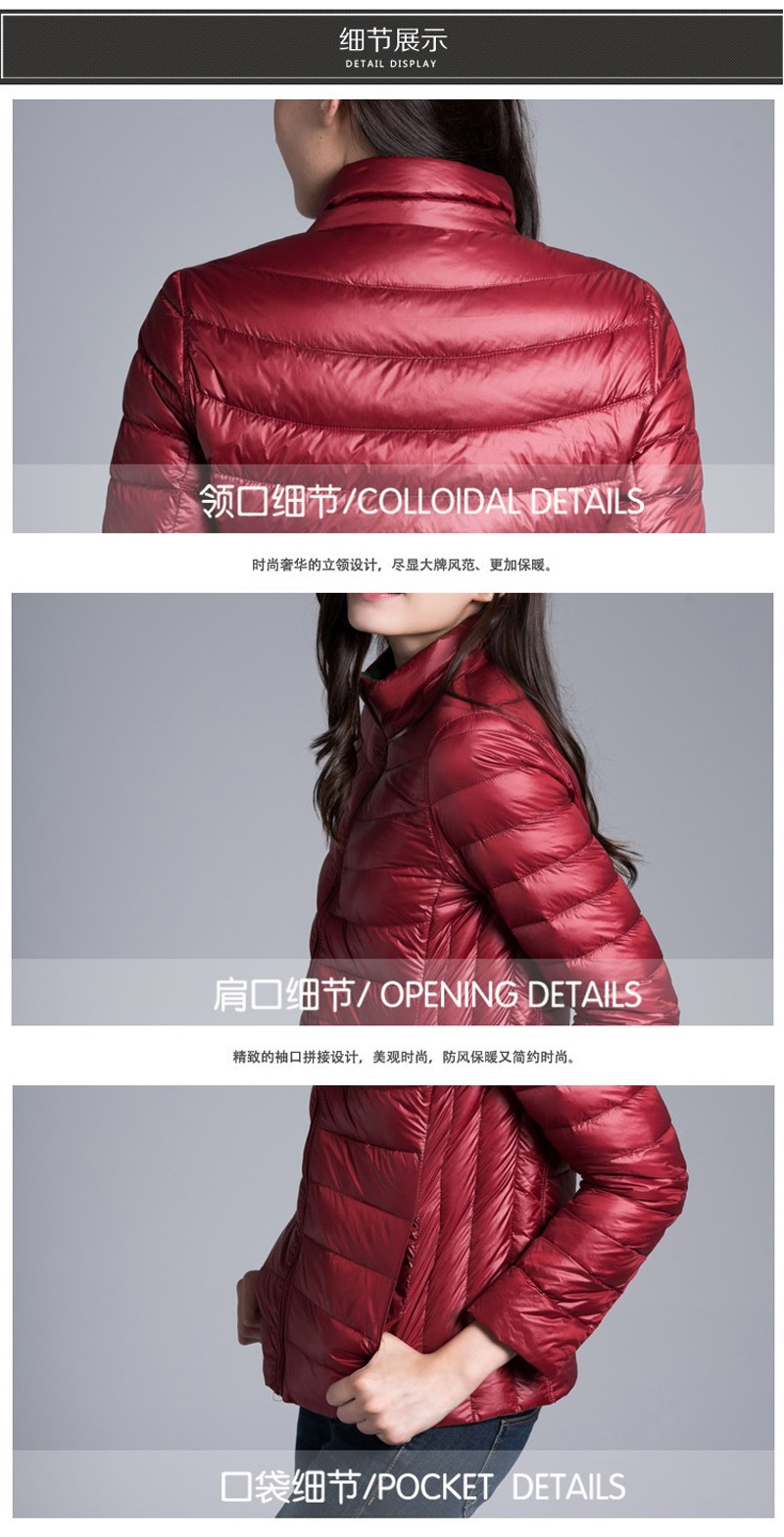 2443398769_450317586