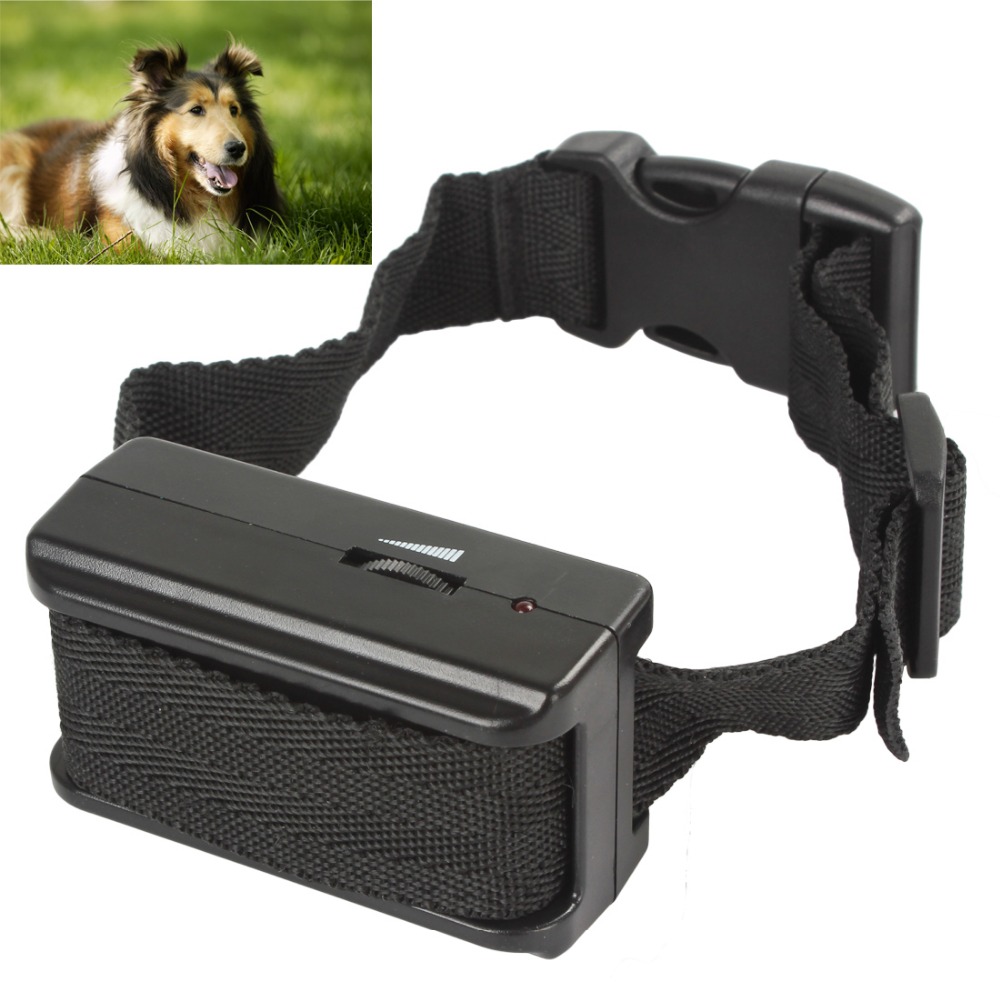 Collier electrique pour chien Collier electrique pour chien