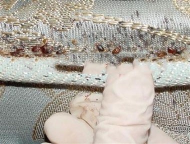 6C977511D69964182983BA19BB2B6F81