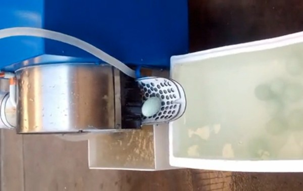 egg cleaner 8