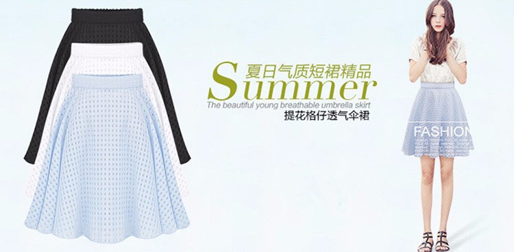 skirt (2)