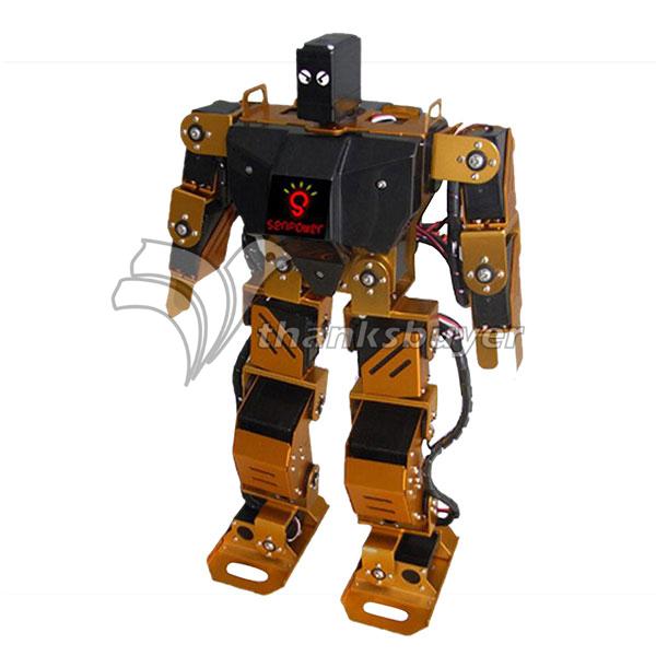 SHR-5S 14 DOF MP3 Player Humanoid Teaching Robot Competition Robot Biped Frame Kits