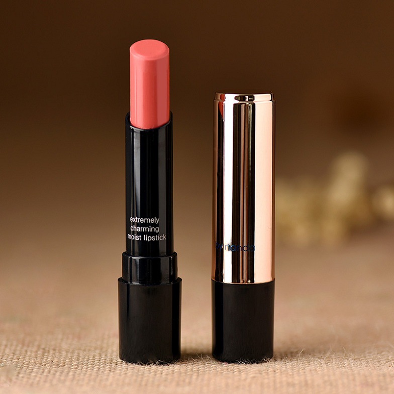 New Beauty Batom Famous Brand Makeup Matte Lipstick Professional Waterproof Red Nude Purple Lipstick Fashion Cosmetic