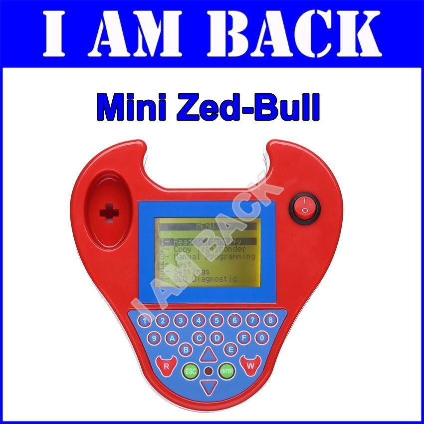 mini zed bull