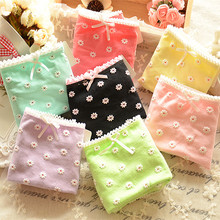 010 Ladies Cotton Underwear Cute Japanese Daisy cotton briefs underwear wholesale gift box explosion