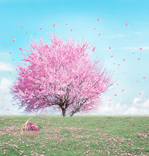 5*6.5ft photography backdrops scenic pink flowers tree wedding background studio custom photo background for photo studio