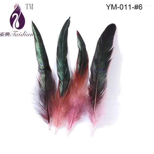 Rooster feather-6