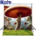 10ftx6 5ft Alice in Wonderland Photography Backdrop Mushroom Forest Lawn background for photography studio without stand