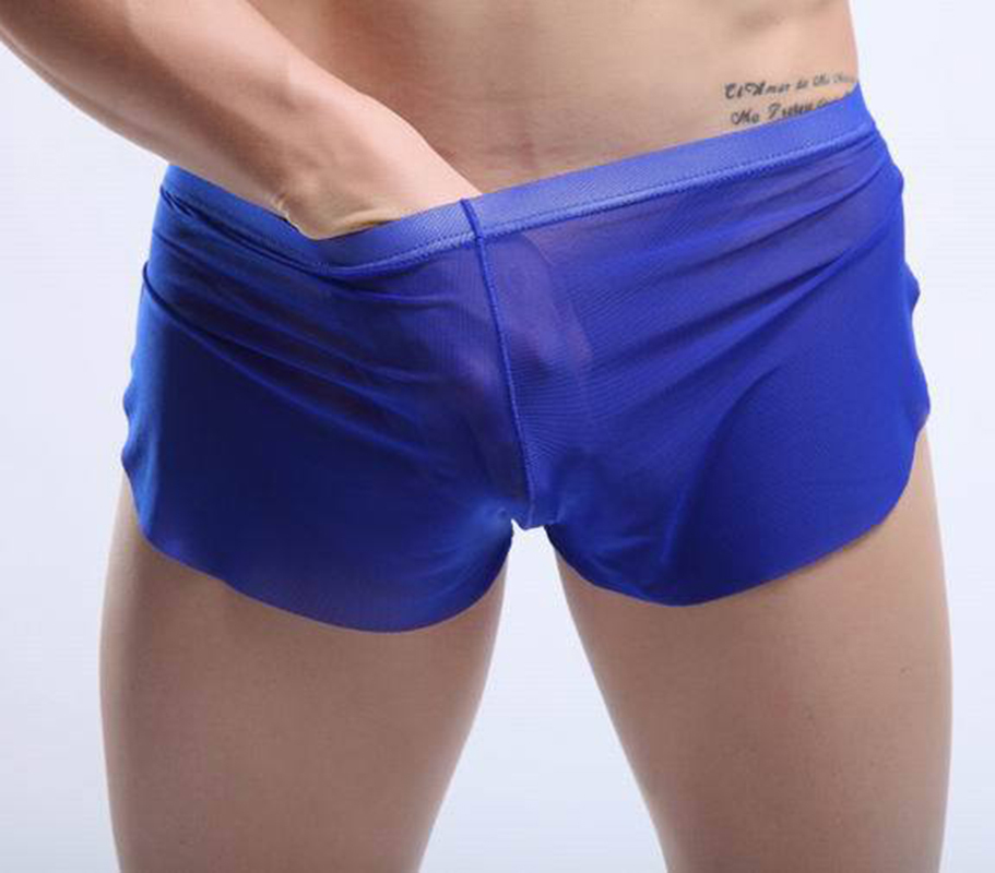 Men Sexy Boxer Shorts Ultra Thin Transparent Mesh Low Rise Erotic Sheer Gay Male Sex Underwear