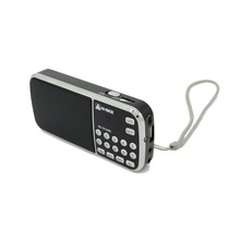 Bestselling Portable Mini LCD Digital AM FM Radio with USB port TF Micro SD Slot PC