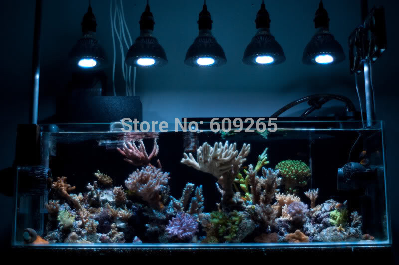 aquarium led plant lamp