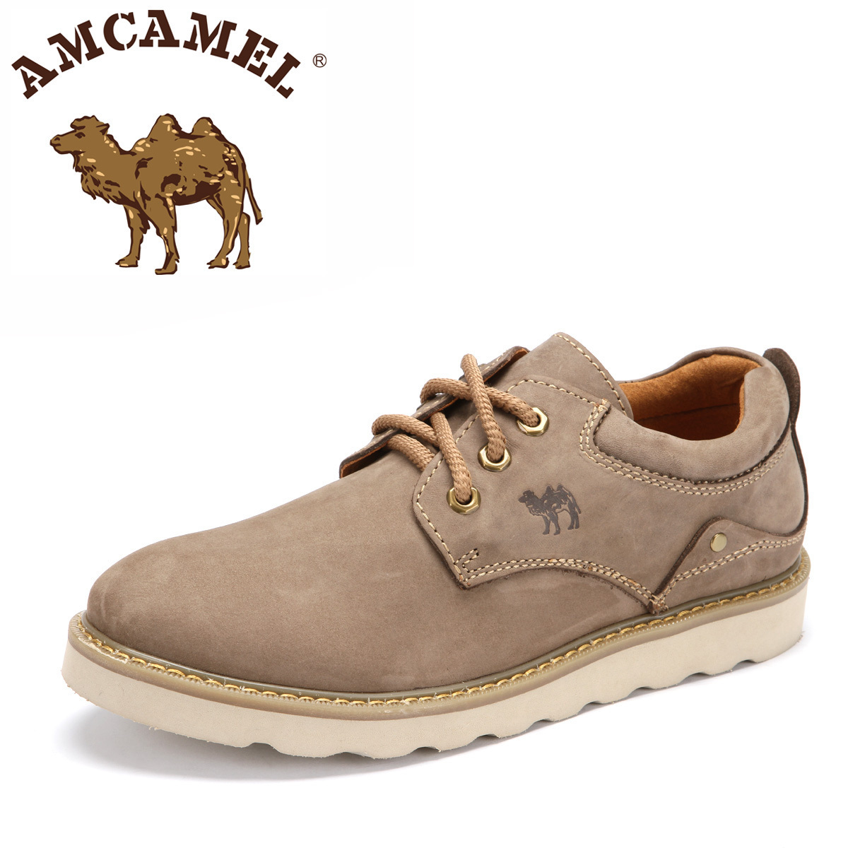 Amcamel camel         h2329001
