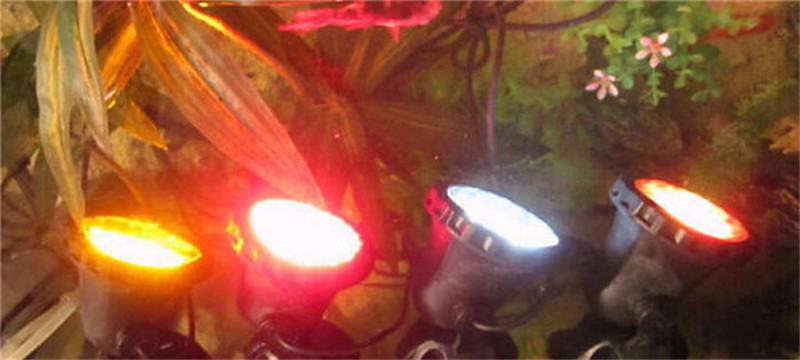 led fish tank (6)