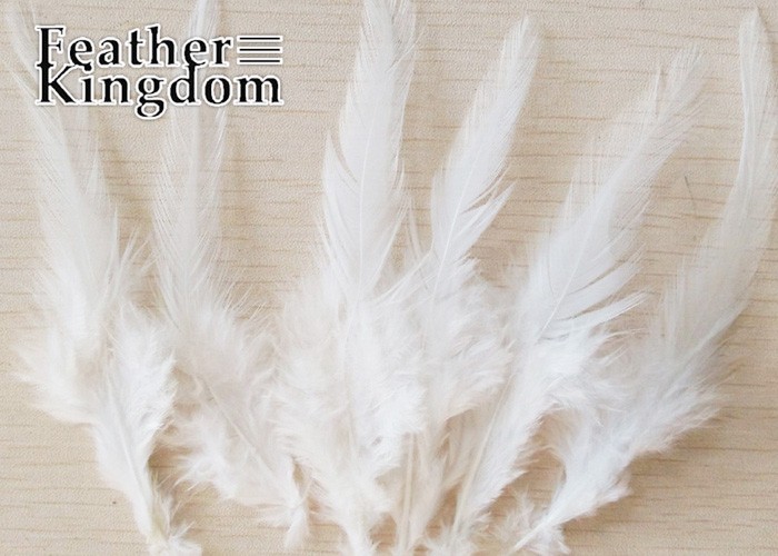 white cock feather -700