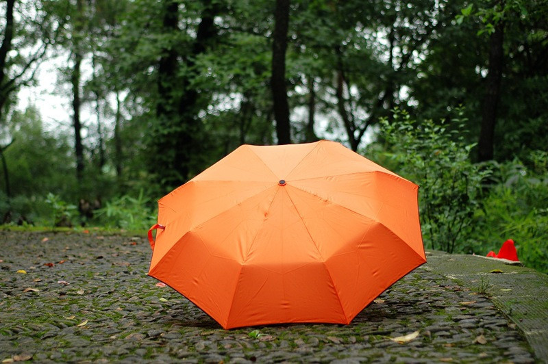 umbrella Paraguas parapluie21.jpg