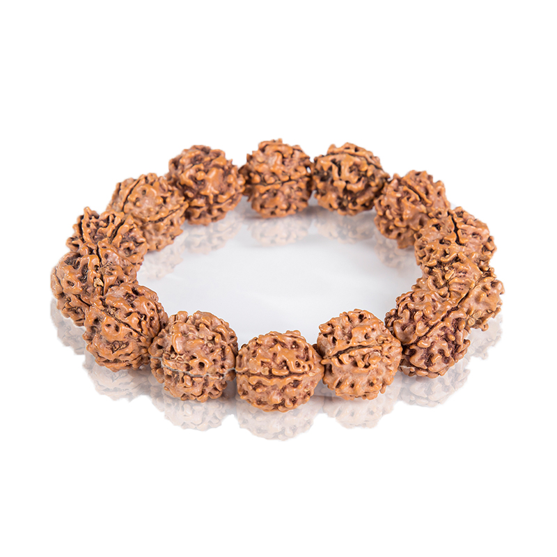high quality grosir benih gelang dari china benih gelang high quality grosir benih gelang dari china benih gelang