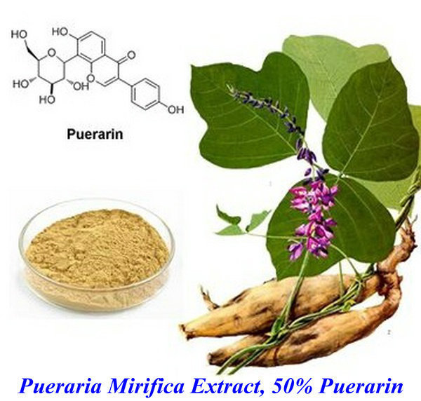 10g Pueraria Root P.E Puerarin 98%