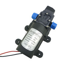 
Automatic pressure Switch DC 24v 60W 5L min 116psi small electric diaphragm Water Pump 60w high