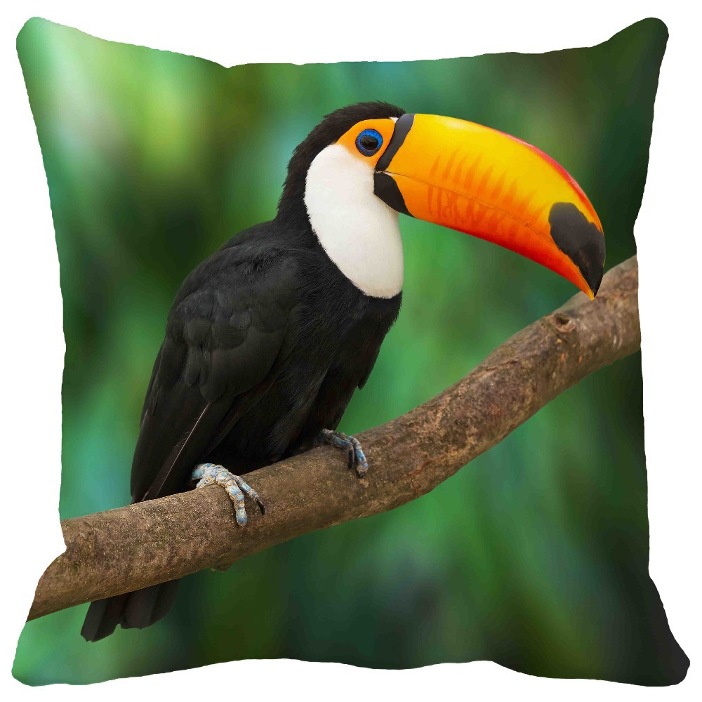 Tropical Rainforest Cute Toucan Bird Print Home Decorative ...
