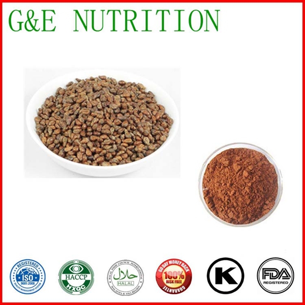 GMP Standard Grape Seed Extract OPC95%/grape seed extract capsule/grape seed extract powder 500g/lot
