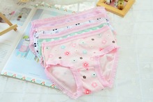 1pcs 2016 new fashion baby girl panties cartoon briefs 100% cotton children girl underwear 1-8 children clothing