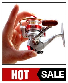 5566516_112445023388_2_04