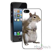 American Gray Squirrel Protector back skins mobile cellphone cases for iphone 4/4s 5/5s 5c SE 6/6s plus ipod touch 4/5/6