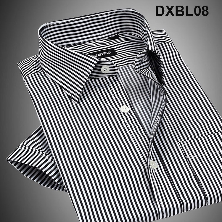 DXBL08
