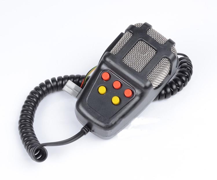 car alarm risen (1)