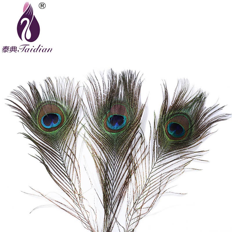 Peacock feathers decorative natural hot sale feathers cheap feathers carnivalplums plumage