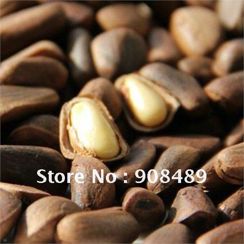 Free Shipping Open pine nuts 500 g organic Korean pine seed kernel nuts snacks natural wild