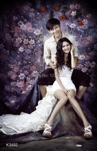 10 x20ft/3*6m Hand Painted Fantasy photo backdrop K3492 , fundo para fotografia,muslin Background, studio props photography