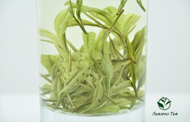 2015 Sale Matcha Green Tea Powder Organic White Green Tea Chinese Super Anji Baicha Bai Cha