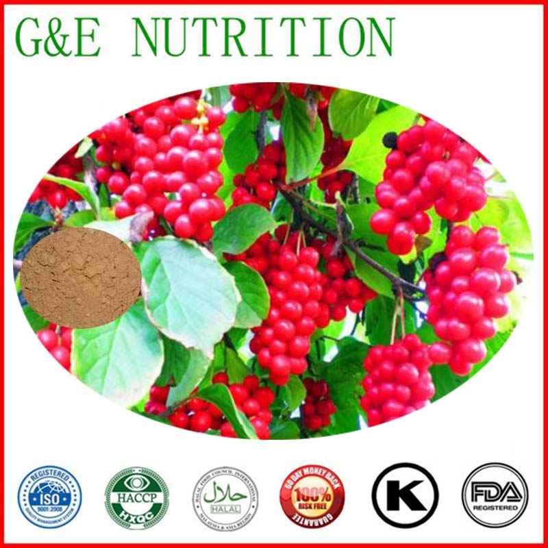 Schisandra chinensis extract, schisandra berries powder in hot selling 1000g