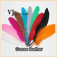 feather11