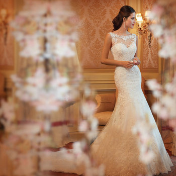 2015 новый кружева русалка свадебное платье свадебное платье на 2 - 4 - 6 - 8 - 10 - 12 - 14 - 16 - 18 D-8078