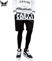 Men s Party Animal Printed Summer Men Cotton Fake Two Piece Shorts Basketball Shorts Man Running