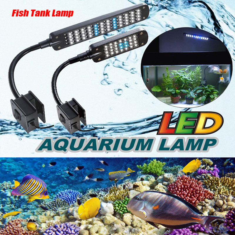  28/48    Fish Tank          / / Plug 2.5  3.5 