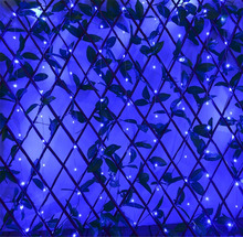 HTB1gGT_QpXXXXX_XXXXq6xXFXXXN