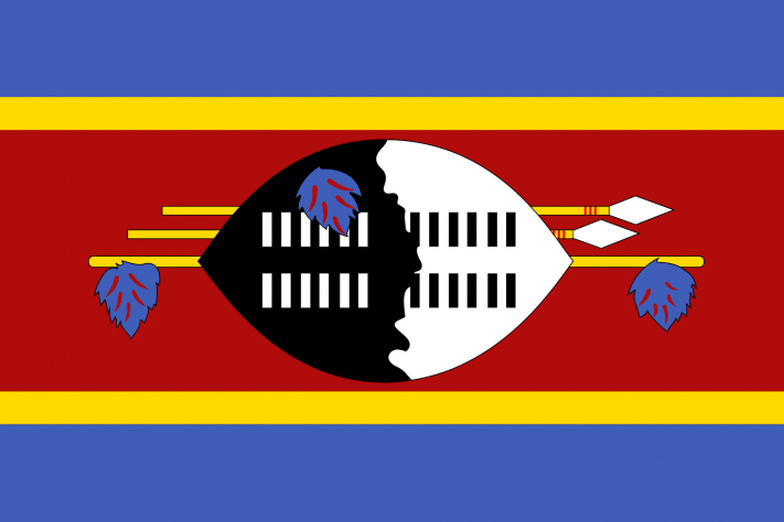 swaziland national flag new 3x5ft indooroutdoor national flag banner 1146 free shipping - Flag Design Ideas swaziland national flag new 3x5ft indooroutdoor national flag banner 1146 free shipping - Flag Design Ideas