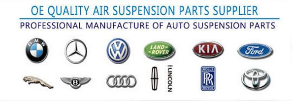 OE quality Air Suspension Parts