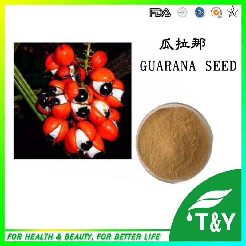 hot sale natural guarana seed extract powder 700g/lot