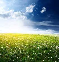 Wedding photography font b studio b font background cloth wilderness landscape grass blue sky background font