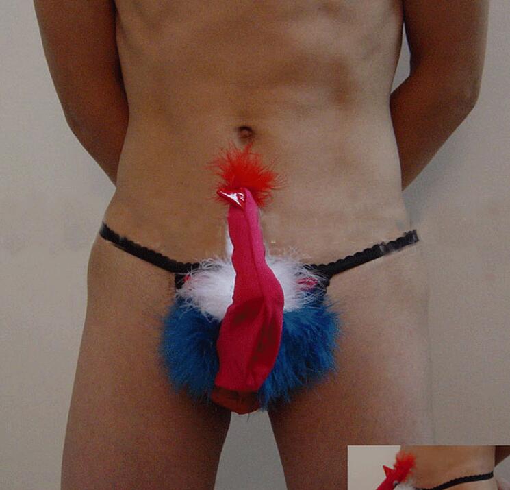 hey gay from Zion feathers gay club