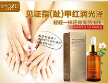 3 Bottles Course Fungal Nail Treatment Essence Nail and Foot Whitening Toe Nail Fungus Removal Feet