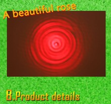 HTB1gk7oLXXXXXXFaXXXq6xXFXXXv