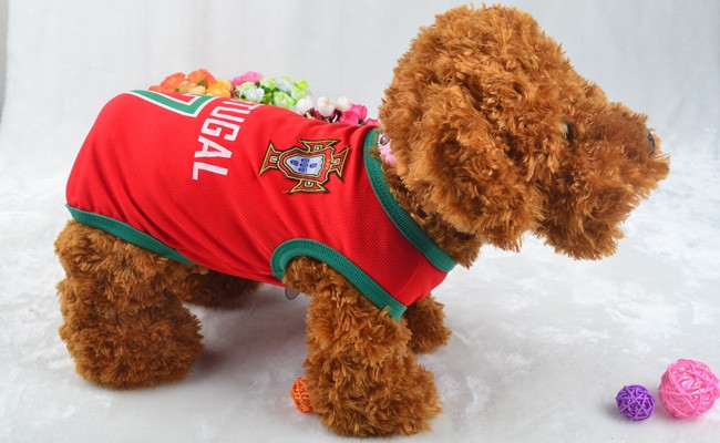 TB2V0gTaXXXXXc5XXXXXXXXXXXX_!!573937187